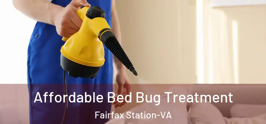  Affordable Bed Bug Treatment Fairfax Station-VA