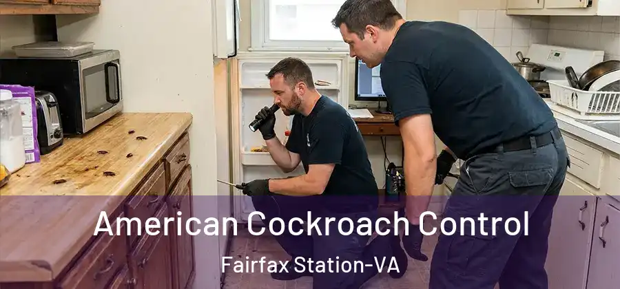  American Cockroach Control Fairfax Station-VA