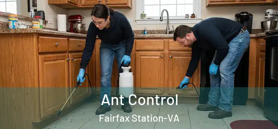 Ant Control Fairfax Station-VA