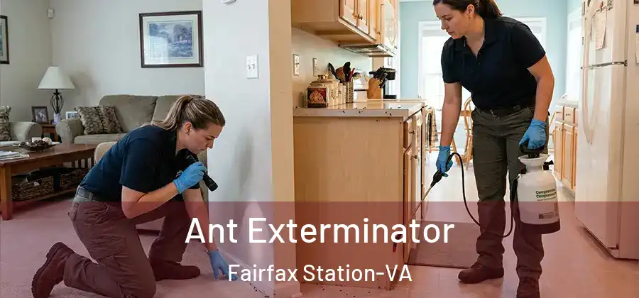  Ant Exterminator Fairfax Station-VA
