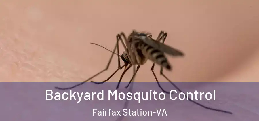 Backyard Mosquito Control Fairfax Station-VA
