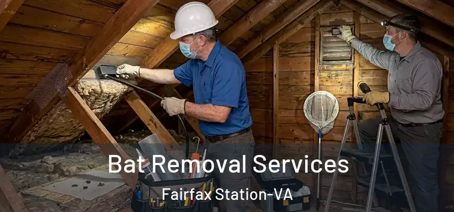 Bat Removal Services Fairfax Station-VA