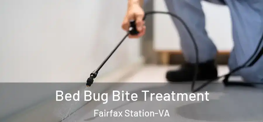 Bed Bug Bite Treatment Fairfax Station-VA