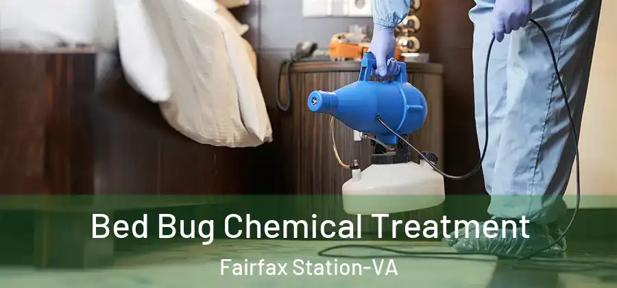  Bed Bug Chemical Treatment Fairfax Station-VA