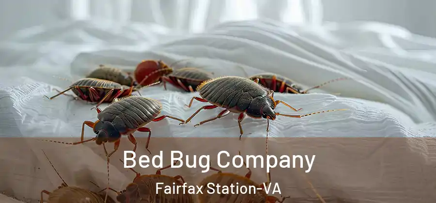  Bed Bug Company Fairfax Station-VA