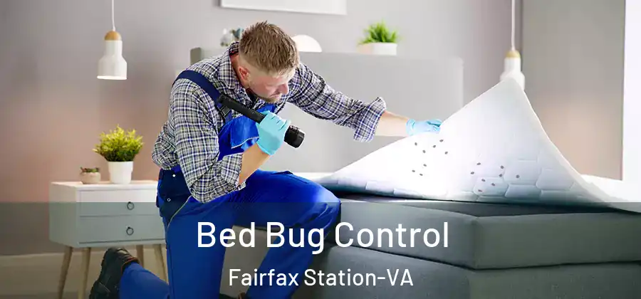 Bed Bug Control Fairfax Station-VA