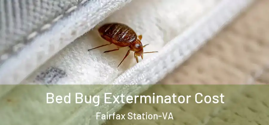  Bed Bug Exterminator Cost Fairfax Station-VA
