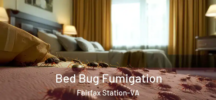  Bed Bug Fumigation Fairfax Station-VA