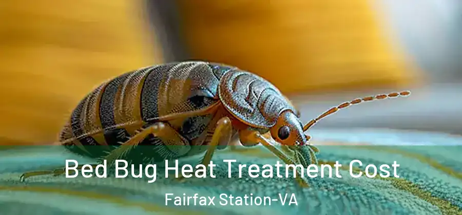  Bed Bug Heat Treatment Cost Fairfax Station-VA