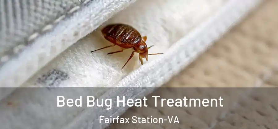  Bed Bug Heat Treatment Fairfax Station-VA