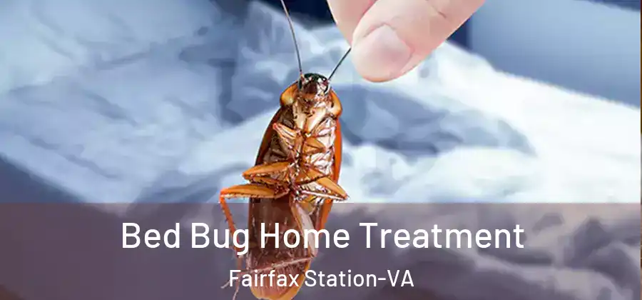  Bed Bug Home Treatment Fairfax Station-VA