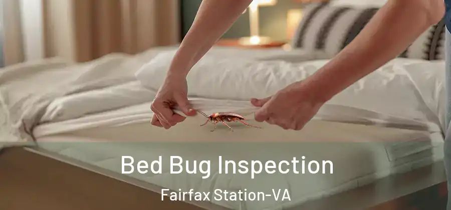 Bed Bug Inspection Fairfax Station-VA