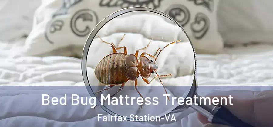 Bed Bug Mattress Treatment Fairfax Station-VA