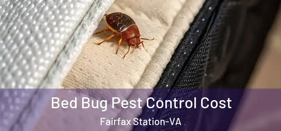  Bed Bug Pest Control Cost Fairfax Station-VA