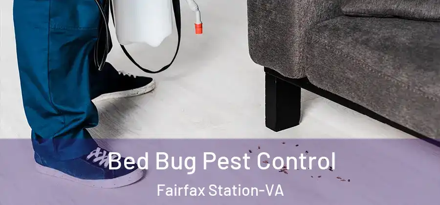 Bed Bug Pest Control Fairfax Station-VA