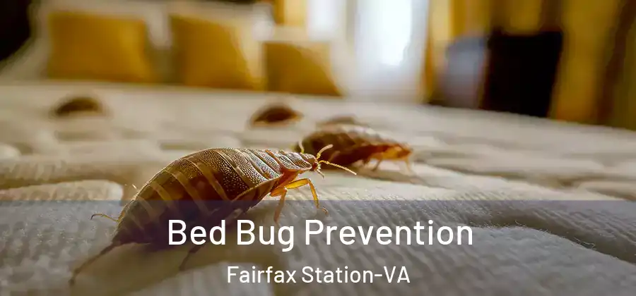 Bed Bug Prevention Fairfax Station-VA