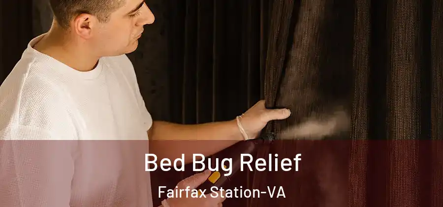  Bed Bug Relief Fairfax Station-VA