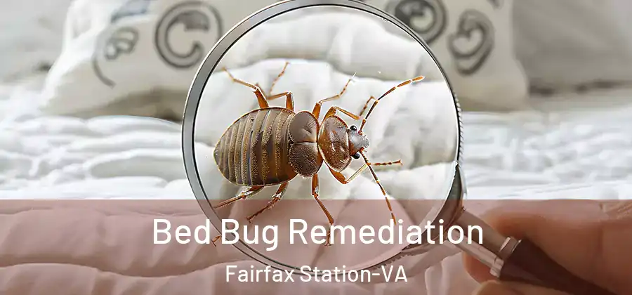 Bed Bug Remediation Fairfax Station-VA