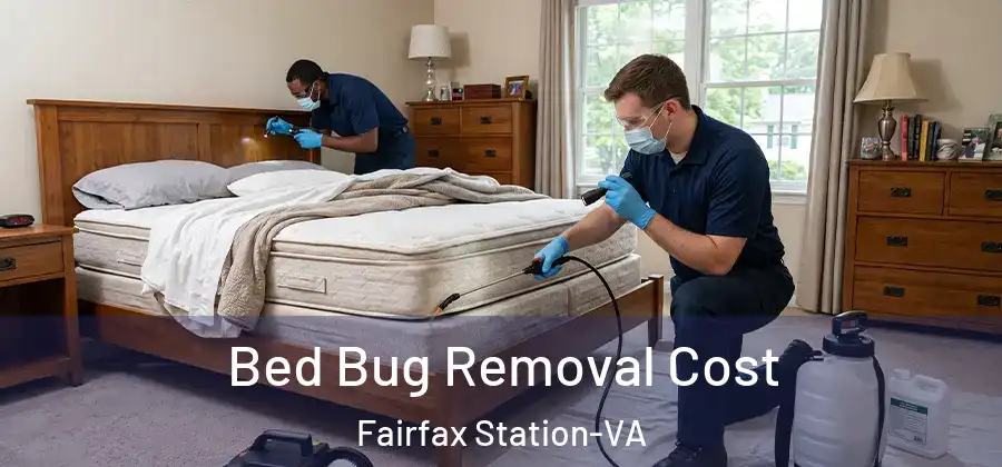Bed Bug Removal Cost Fairfax Station-VA
