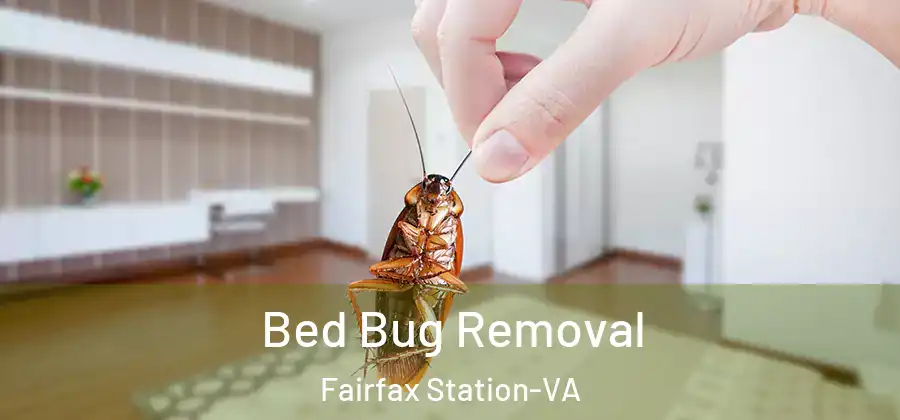 Bed Bug Removal Fairfax Station-VA