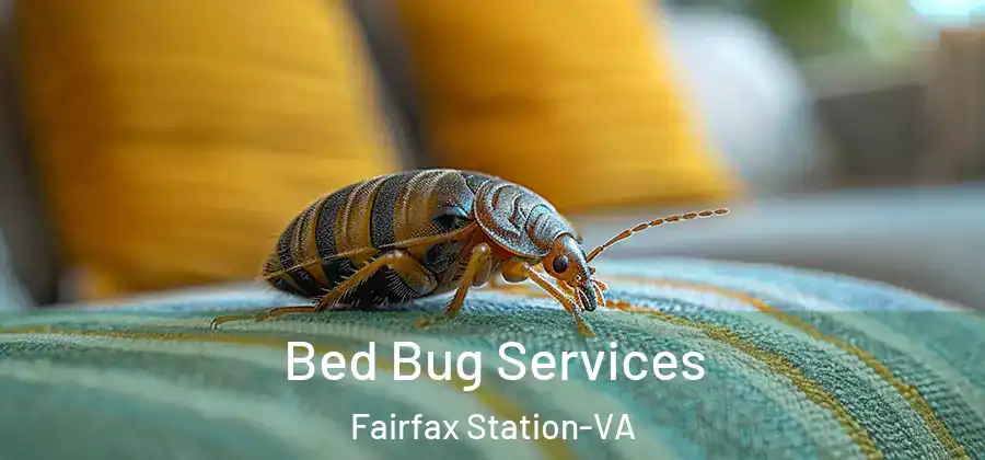 Bed Bug Services Fairfax Station-VA