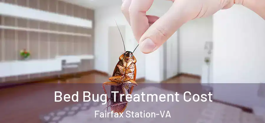  Bed Bug Treatment Cost Fairfax Station-VA