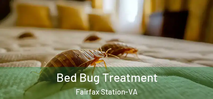 Bed Bug Treatment Fairfax Station-VA