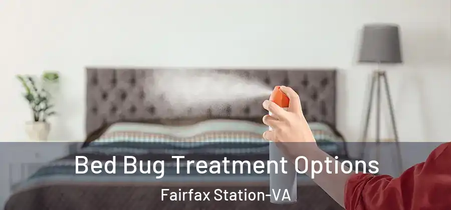  Bed Bug Treatment Options Fairfax Station-VA