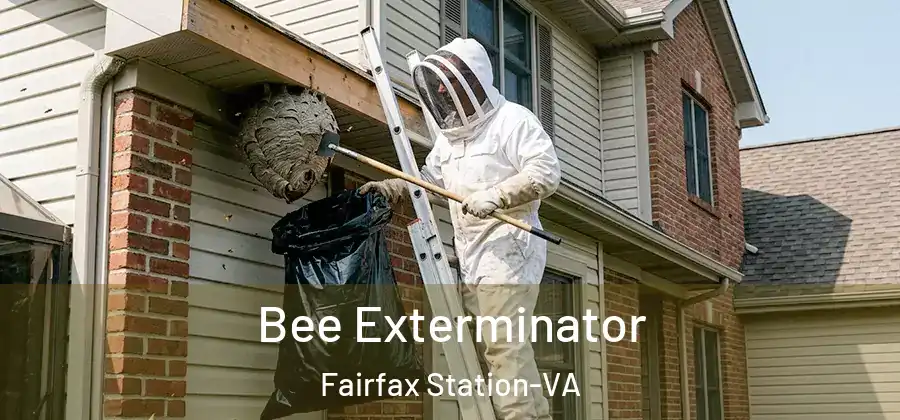 Bee Exterminator Fairfax Station-VA