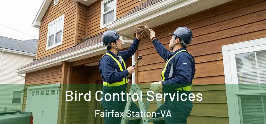  Bird Control Services Fairfax Station-VA