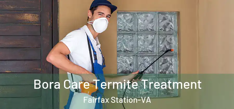  Bora Care Termite Treatment Fairfax Station-VA
