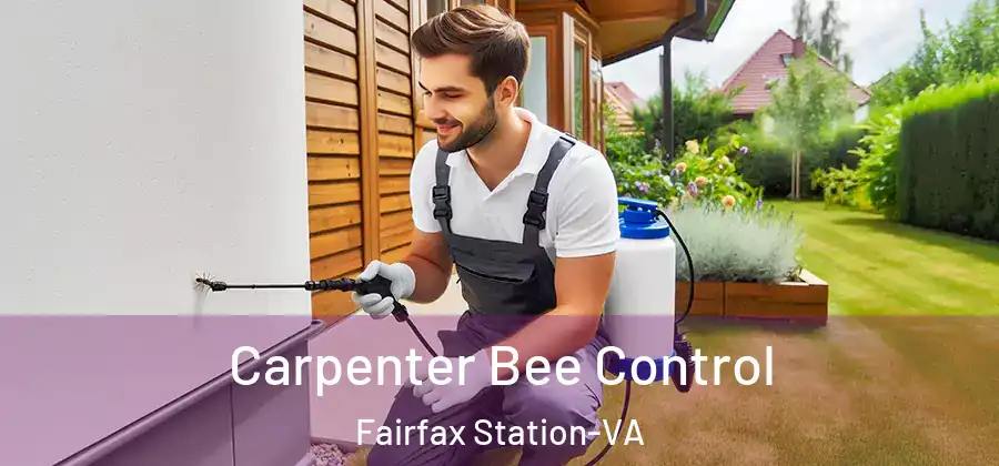  Carpenter Bee Control Fairfax Station-VA