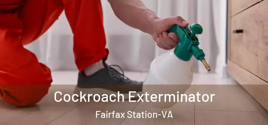  Cockroach Exterminator Fairfax Station-VA