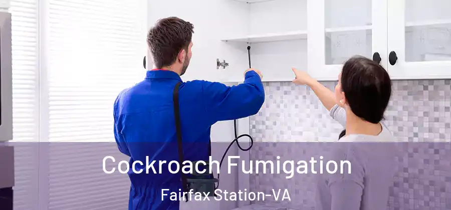  Cockroach Fumigation Fairfax Station-VA