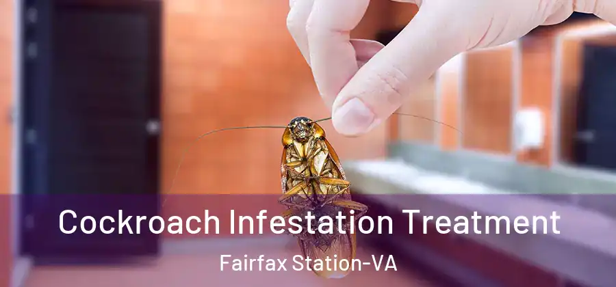  Cockroach Infestation Treatment Fairfax Station-VA