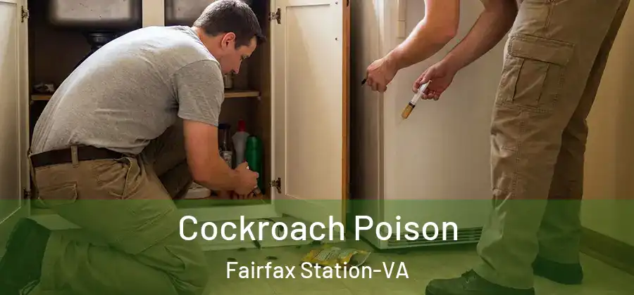 Cockroach Poison Fairfax Station-VA