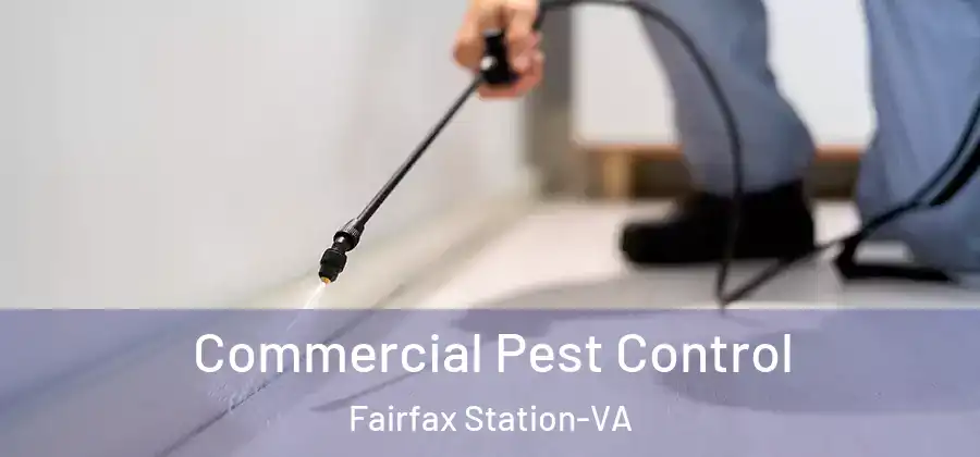  Commercial Pest Control Fairfax Station-VA