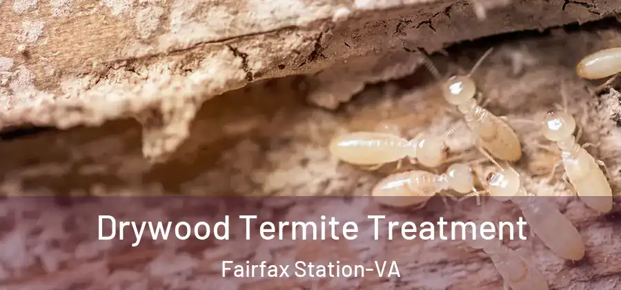  Drywood Termite Treatment Fairfax Station-VA