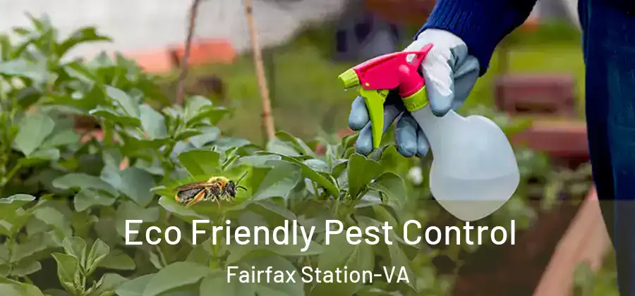  Eco Friendly Pest Control Fairfax Station-VA