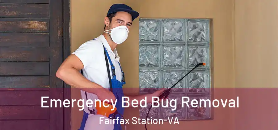  Emergency Bed Bug Removal Fairfax Station-VA