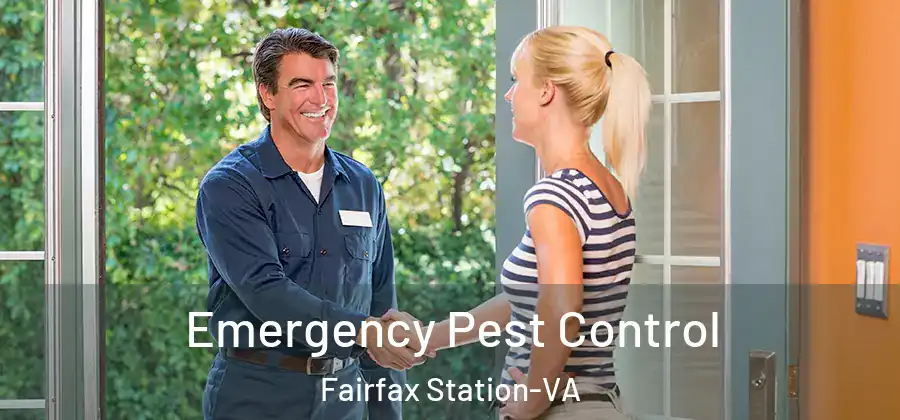  Emergency Pest Control Fairfax Station-VA