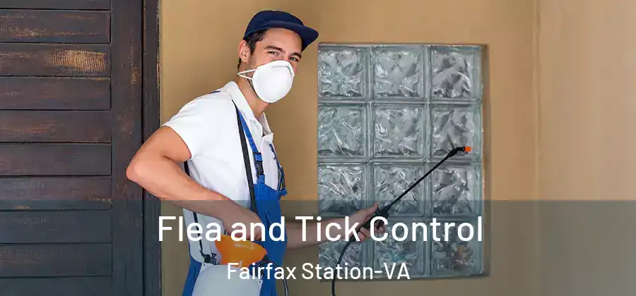 Flea and Tick Control Fairfax Station-VA