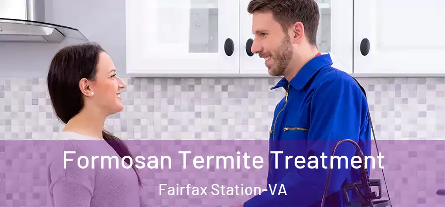  Formosan Termite Treatment Fairfax Station-VA
