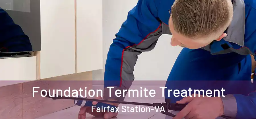  Foundation Termite Treatment Fairfax Station-VA