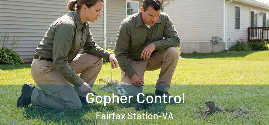 Gopher Control Fairfax Station-VA