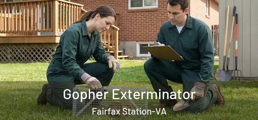 Gopher Exterminator Fairfax Station-VA