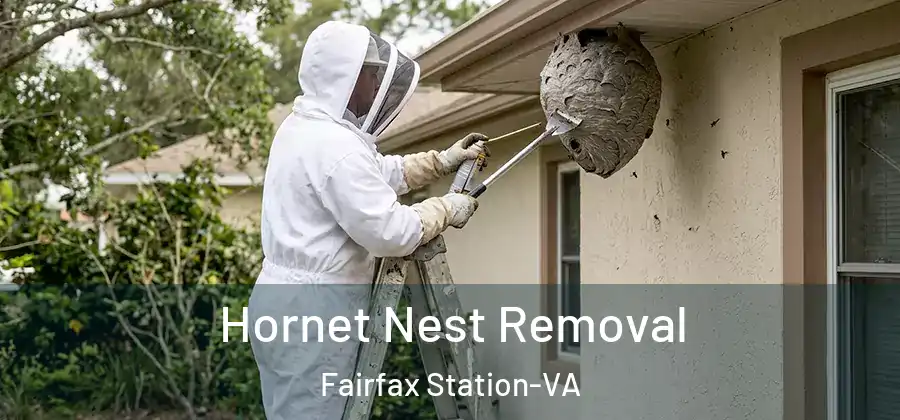  Hornet Nest Removal Fairfax Station-VA