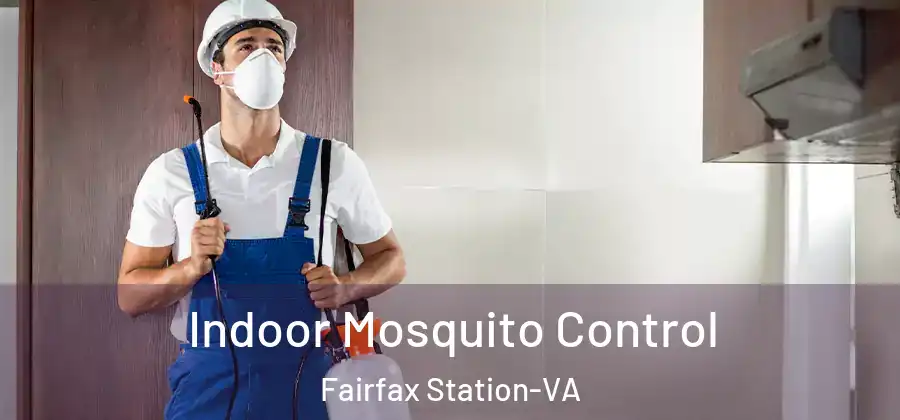  Indoor Mosquito Control Fairfax Station-VA