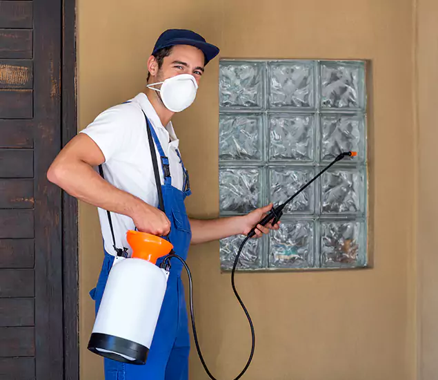 Your Reliable Pest Control in Fairfax Station, VA