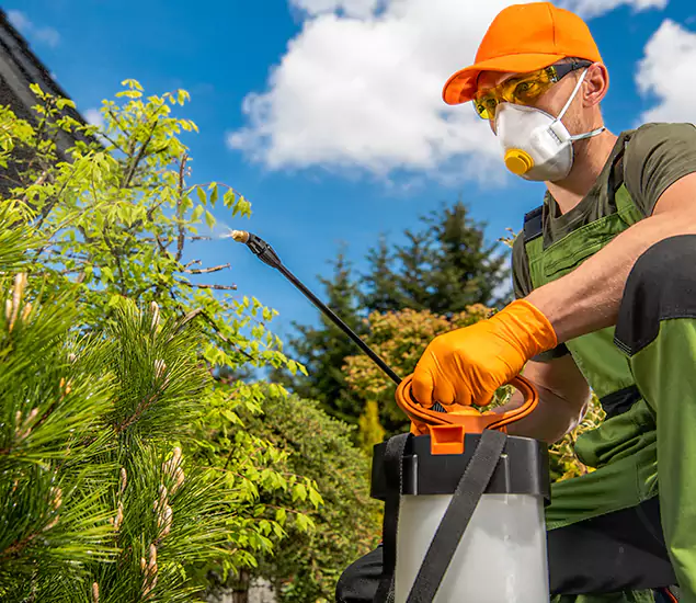 Your Best Bug Spray for Home Team in Fairfax Station, VA